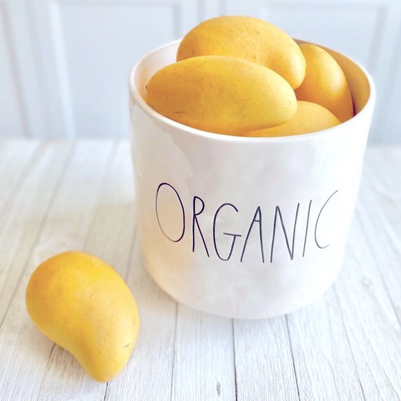 Rae Dunn Extra Large Organic Pot - Picture 3 of 3